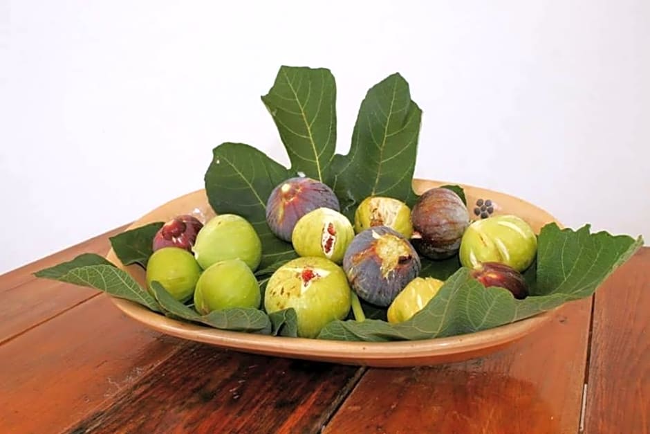 B&B Masseria Donna Carlotta