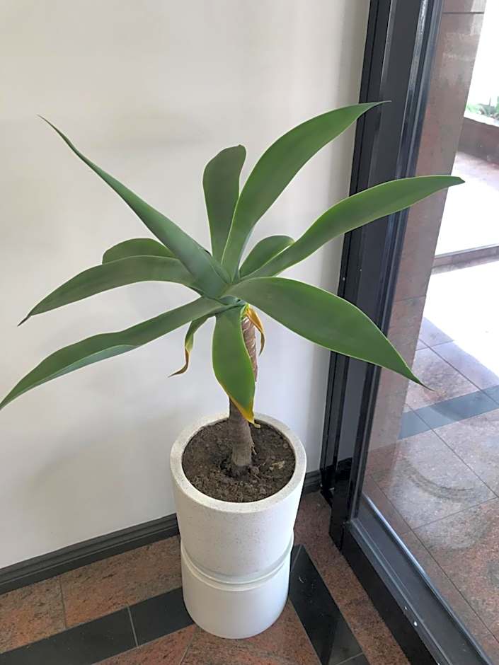 Edgecliff Lodge Motel