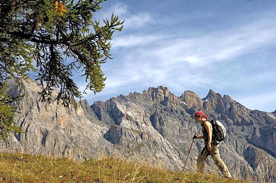 Hôtel Les Bains d'Ovronnaz