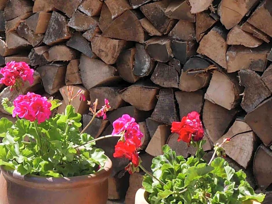 The Potting Shed, self contained, detached retreat in Shapwick village