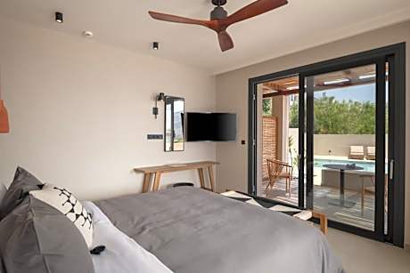 Double Room with Pool View