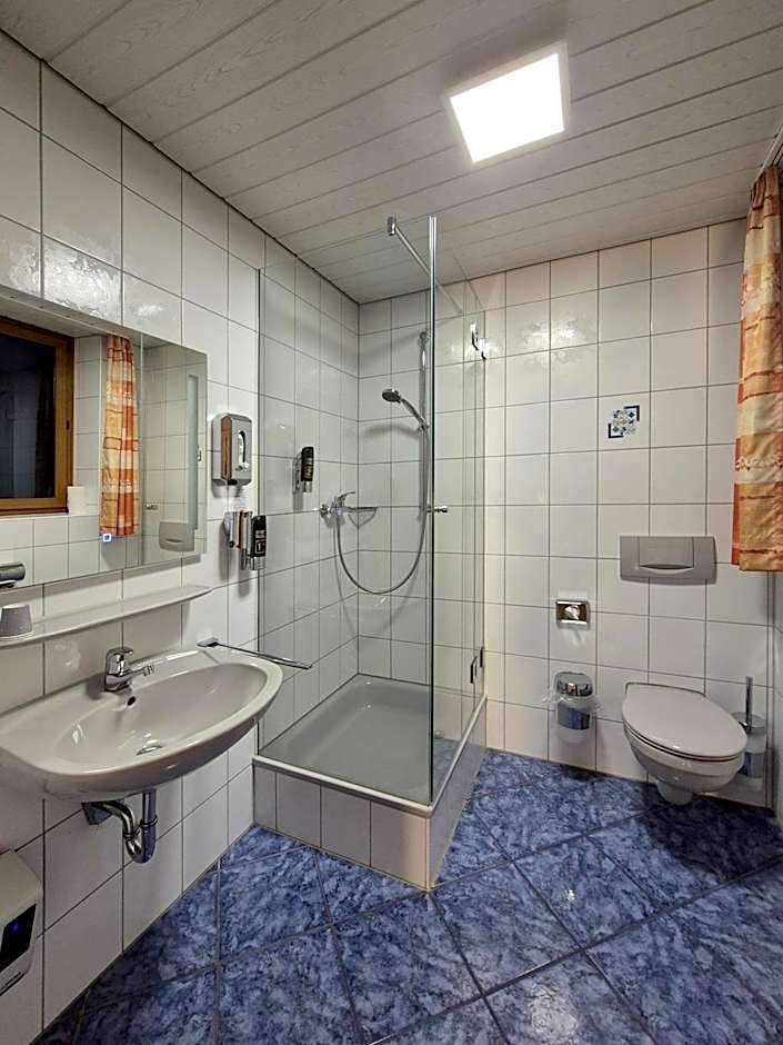 Hotel Seerose