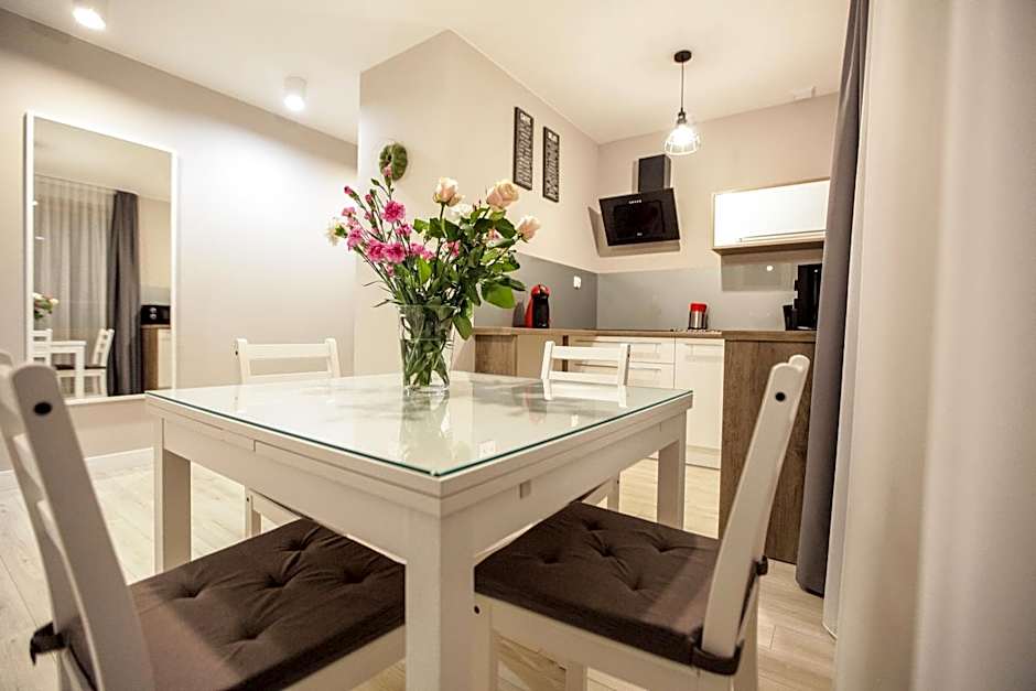 Bory6a Apartamenty & Free Parking