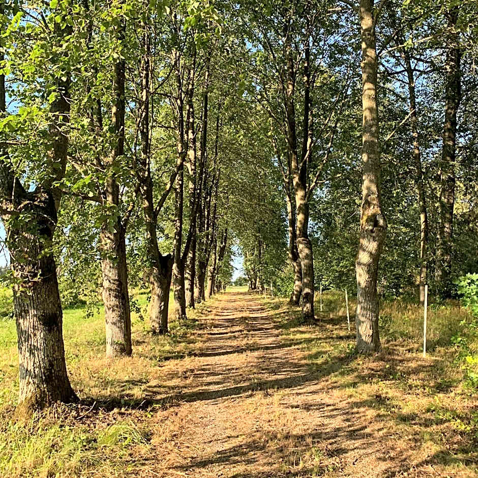 Blankenfeldes muiža