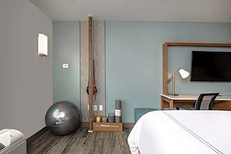 1 King Standard Mobil Access Roll Shower