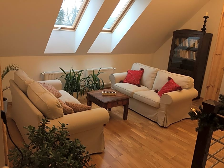 Stara Szkola Trzcin 20