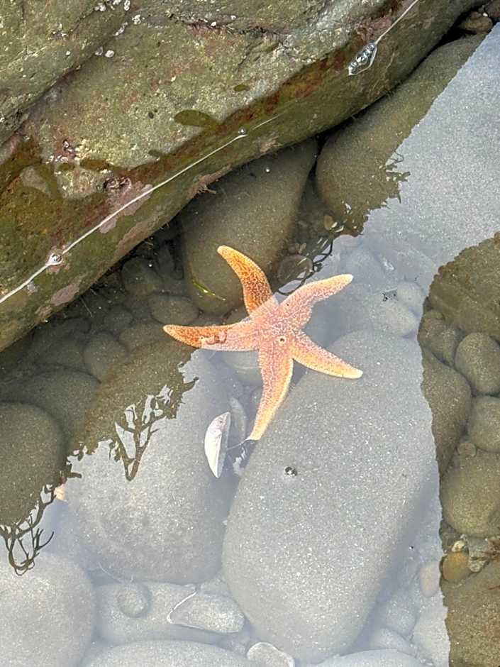 Cardigan Bay Holidays
