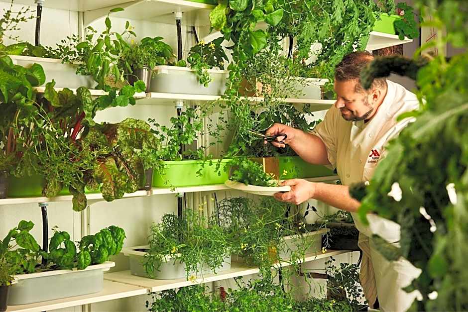 Philadelphia Marriott Downtown