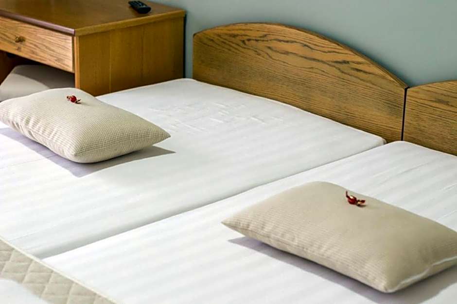 Hotel Europe