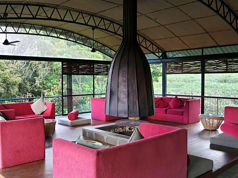 The Rainforest Ecolodge