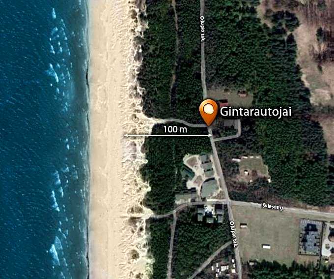 Gintarautojai