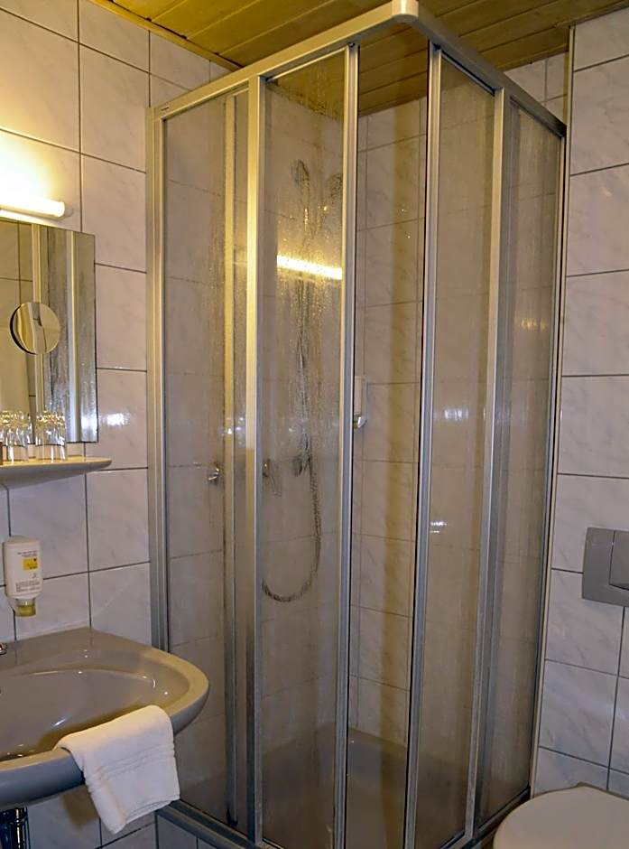 Hotel Goldener Karpfen