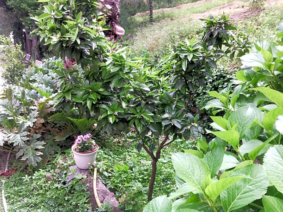 Chambres d'hôtes La Fouquette