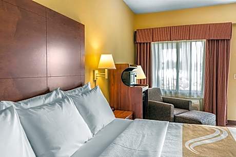 1 King Bed Suite Nonsmoking