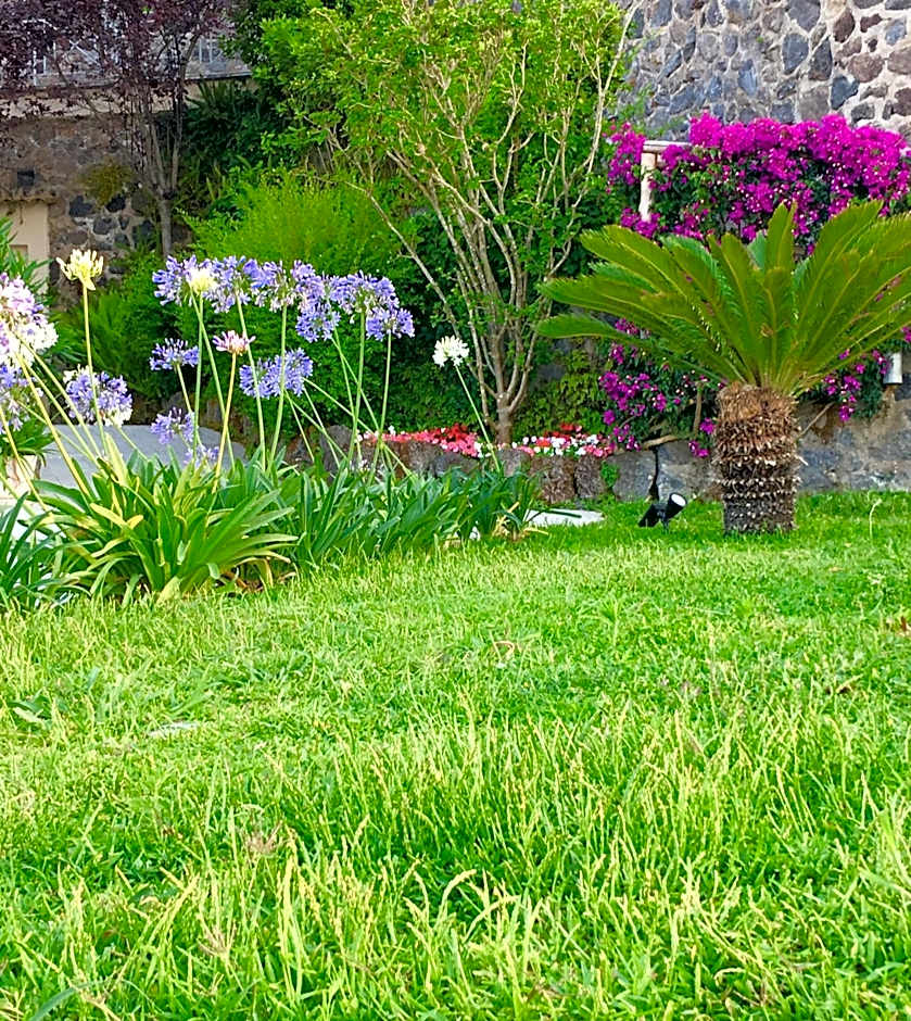 Agapanto Luxury Accommodation