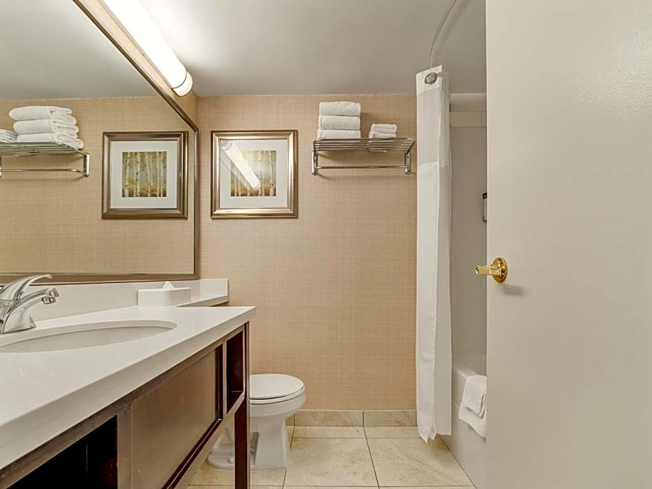 Holiday Inn Conference Centre Edmonton South By IHG