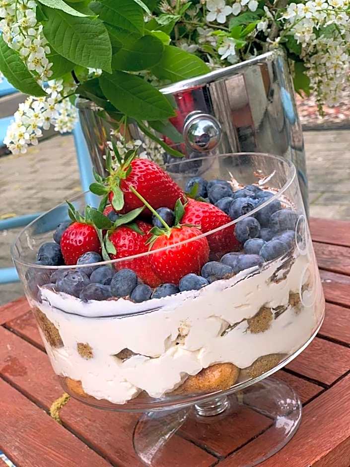 SURF HOUSE DREAMERS COAST