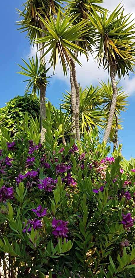 Villa Quinta da Violeta