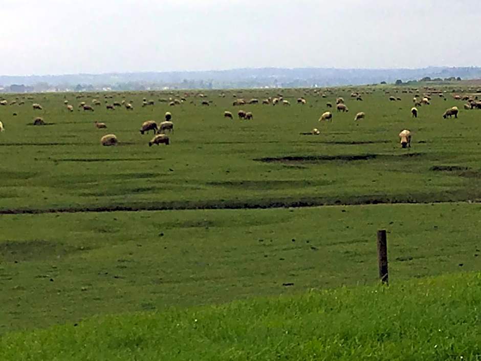 Marie France 's home