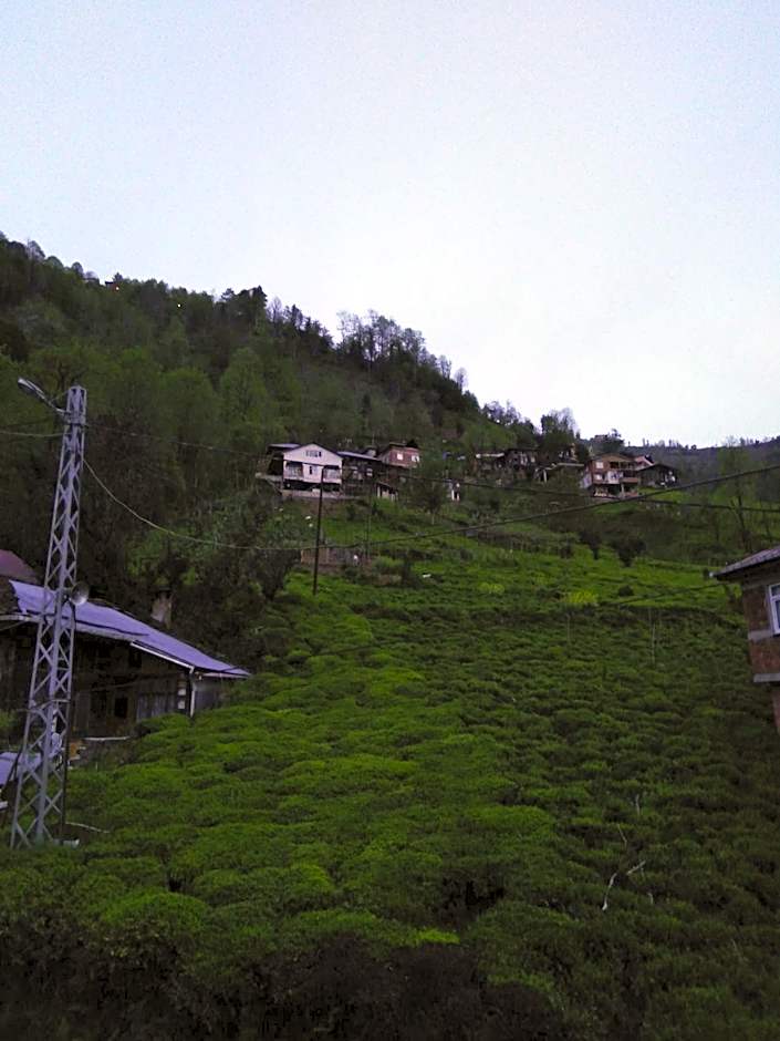 Zisto Apart Otel & Bungalows