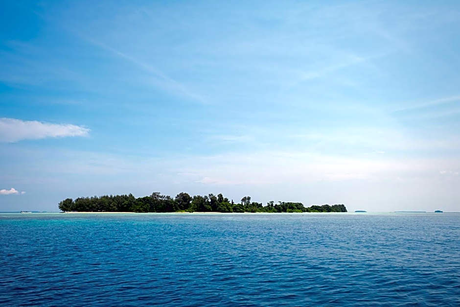 The Bodhi Tree Karimunjawa