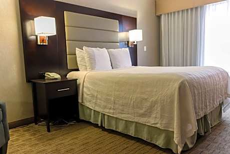 Queen Room with City View