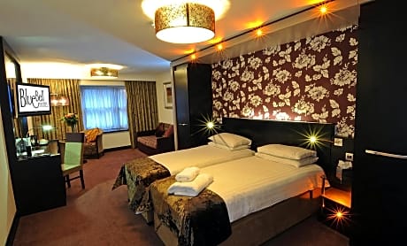 Superior Twin or Double Room