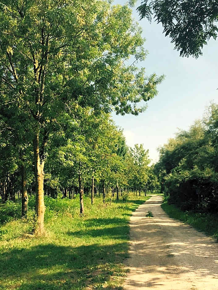 Hotel Picobello Pineta