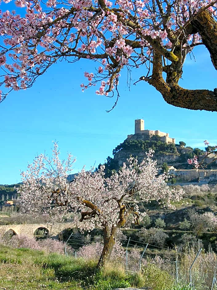 Hotel Rural Mas Fontanelles