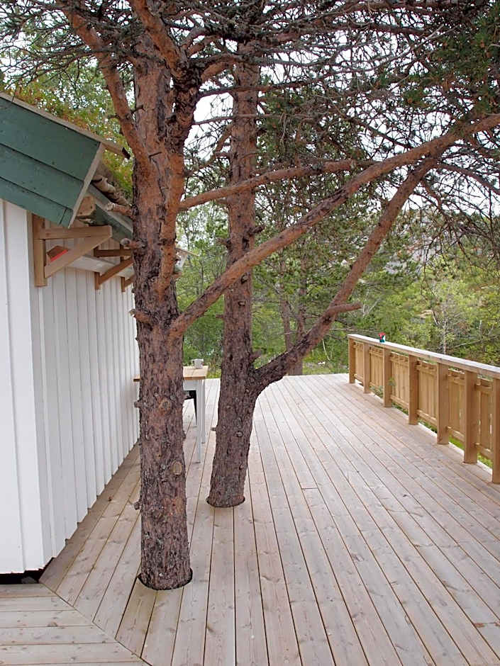 Kabelvåg Feriehus & Camping