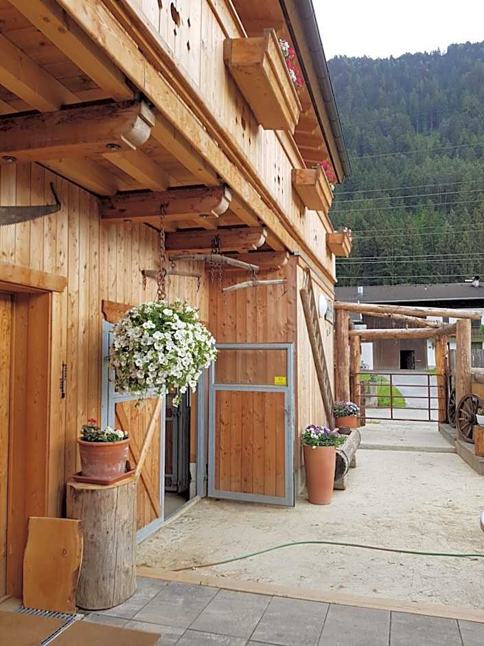 B&B Margit's Ranch Urlaub am Pferdehof
