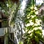 Posada Mariposa Boutique Hotel - 5th Avenue