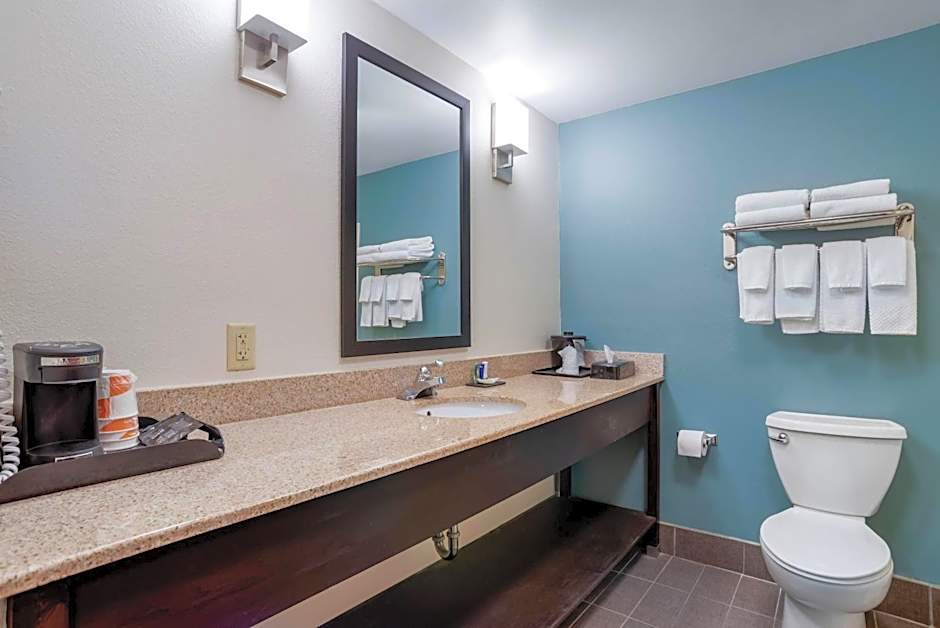 Sleep Inn & Suites Auburn Campus Area I-85