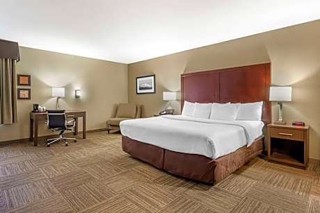 1 King Bed, Nonsmoking, Accessible