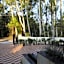 Hotel Forest Avenue - Best Luxury Hotel in Dehradun
