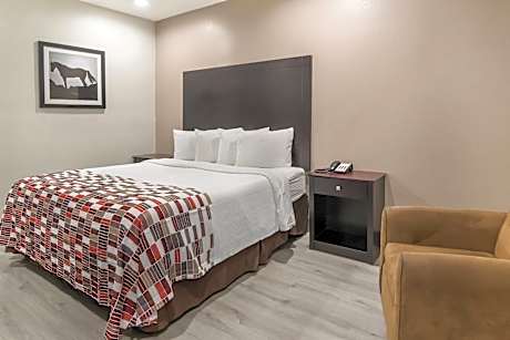 ADA Accessible Superior King with Roll-In Shower Non-Smoking