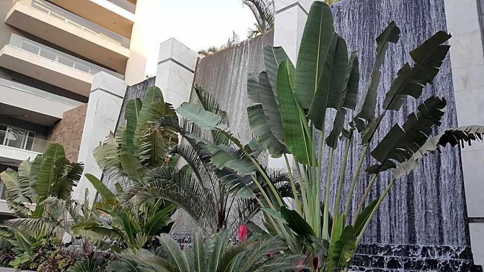 Sheraton Ocean 401 - No Pool Access