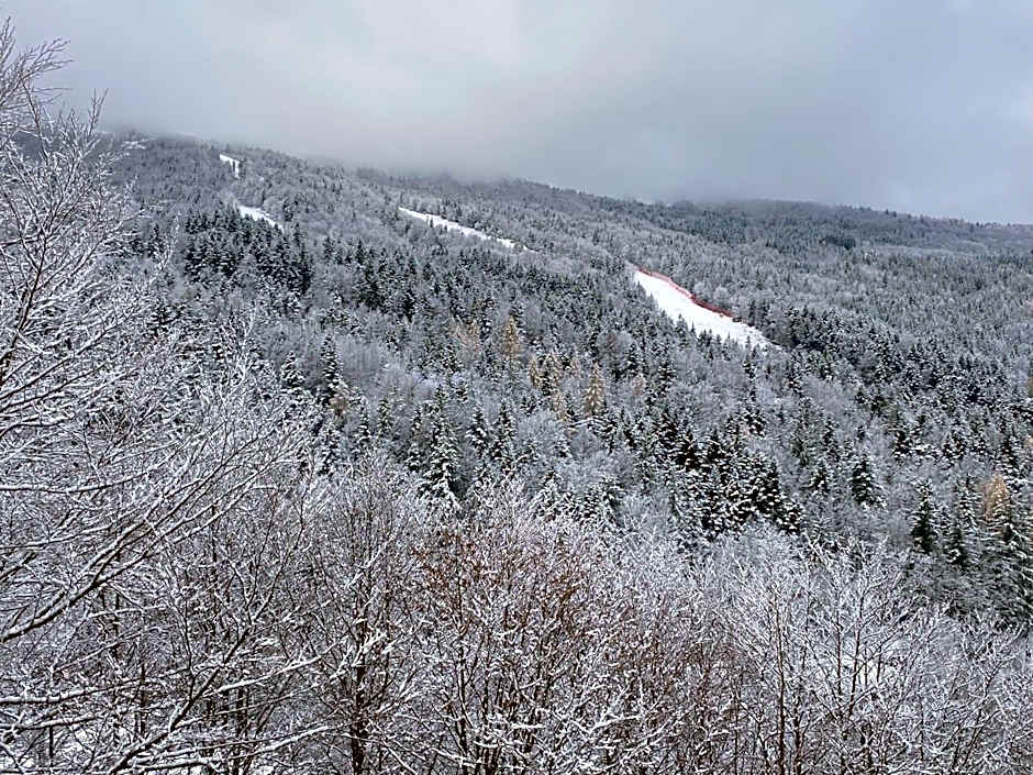 Residenza Riva Wellness Apartment Spa