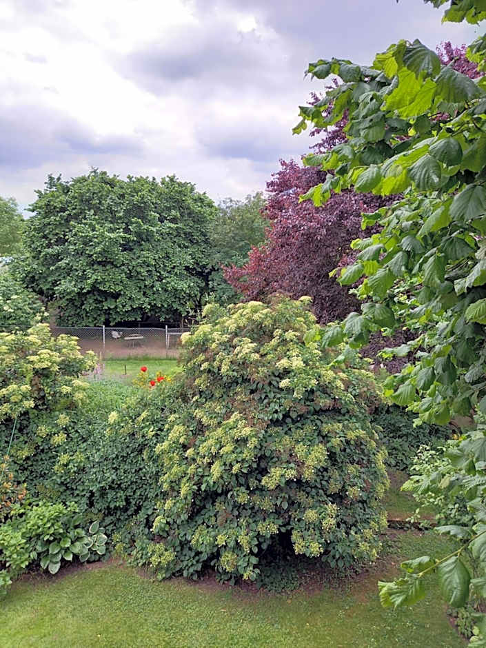 Lindenzimmer Stöcken