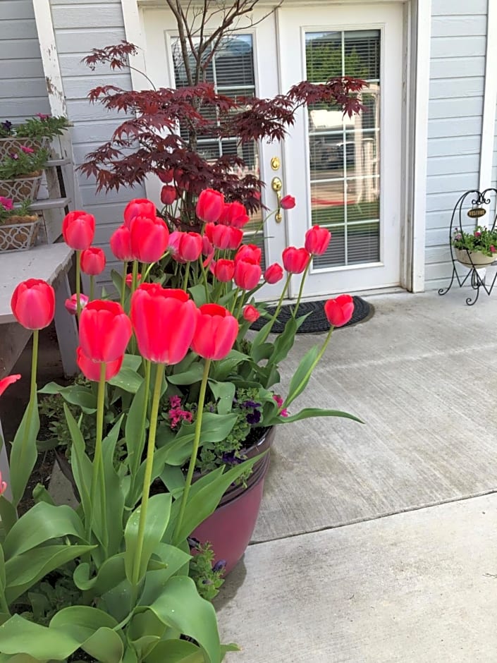 Rebekah's Airbnb Romantic Lodging
