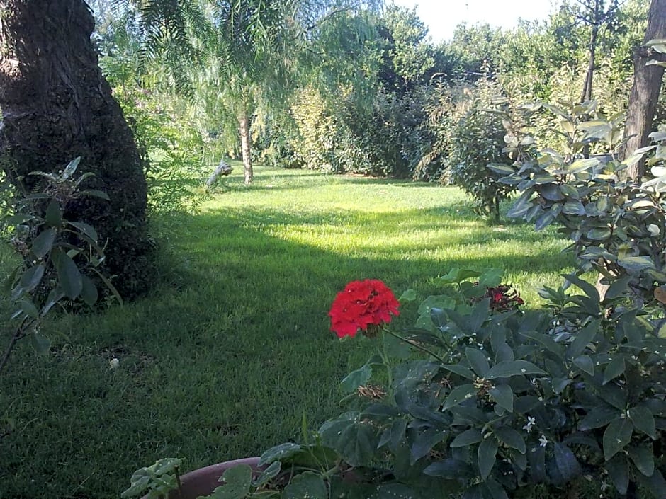 MyLife B&B Country House