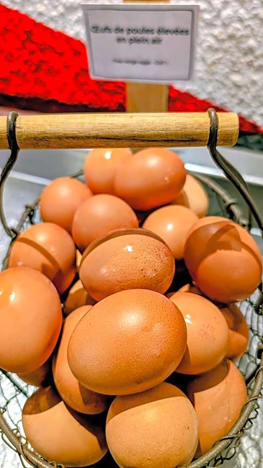 ibis Grenoble Centre Bastille