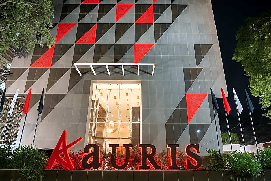 Photo 1 of 50 of Aauris