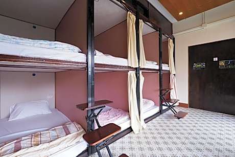 Bunk Bed in Mixed Dormitory Room