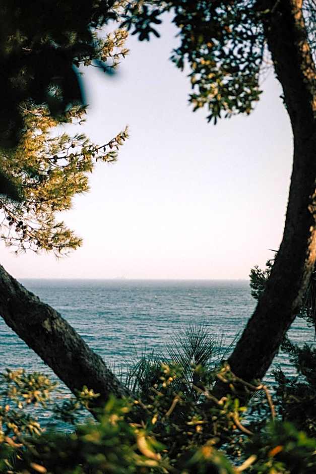 Hôtel Le Provençal - Rénové en 2025 - Bord de Mer