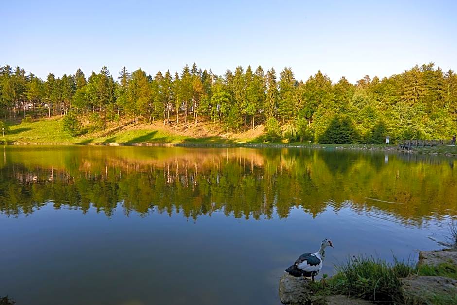 Terme Zreče – Hotel Atrij