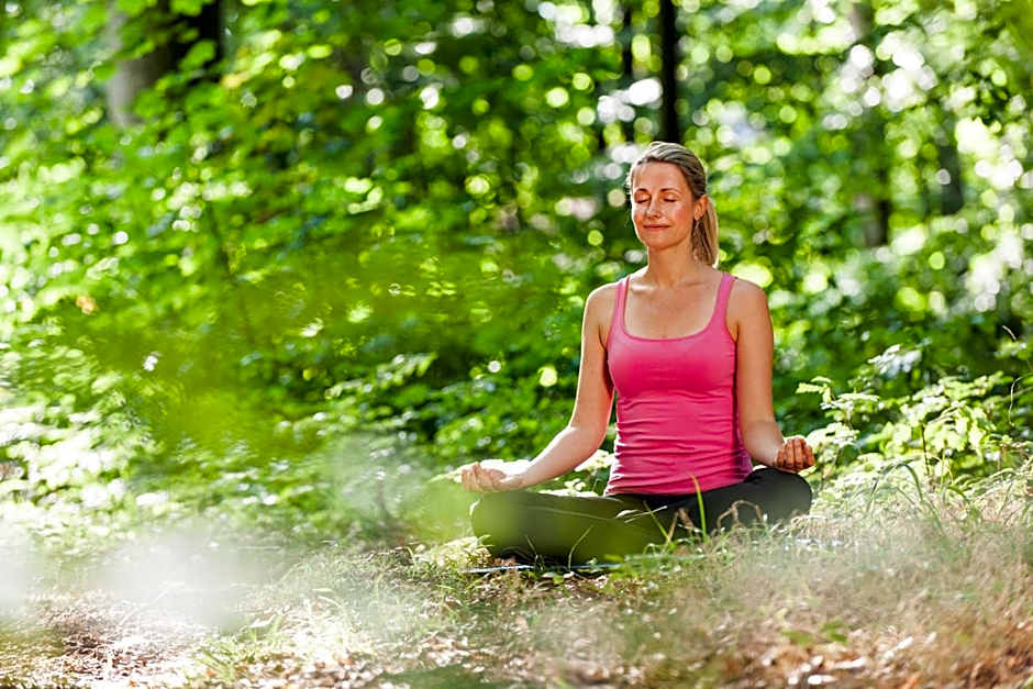 Hotel Birke, Ringhotel Kiel