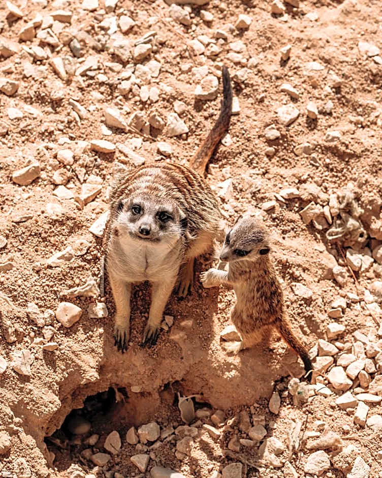 Hotel de Charme Casa da Amieira
