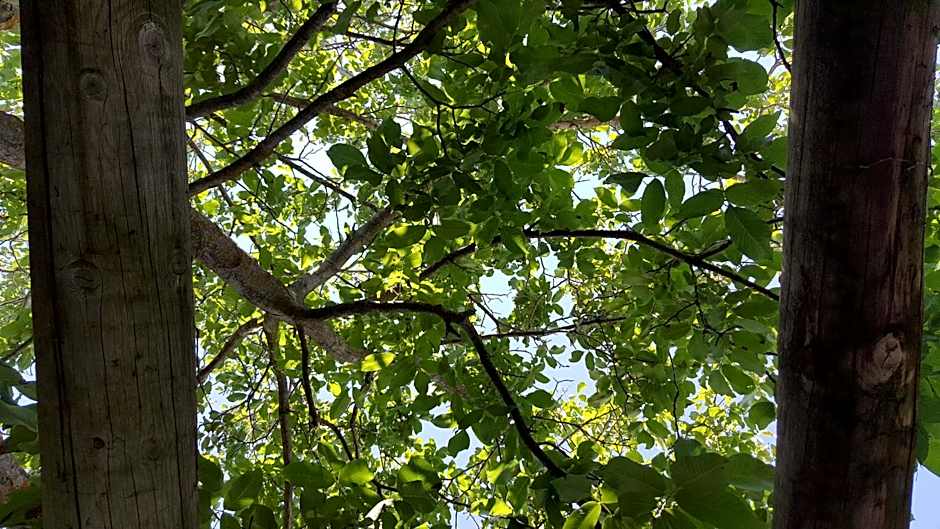 Green Peaks B&B Country House Alojamiento Rural