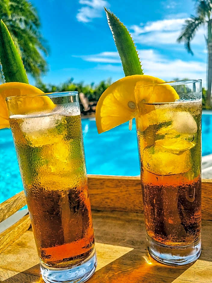 Maison d'hôtes Villa des Mascareignes